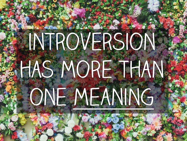 Sebenarnya, ada berbagai jenis introversi.