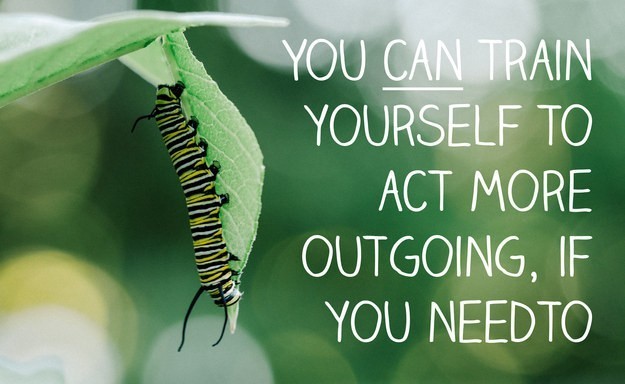 Jika Anda mau, Anda bisa melatih diri Anda untuk bertindak lebih terbuka ketika Anda perlu.