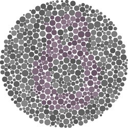 6. Angka berapa yang kamu lihat ?