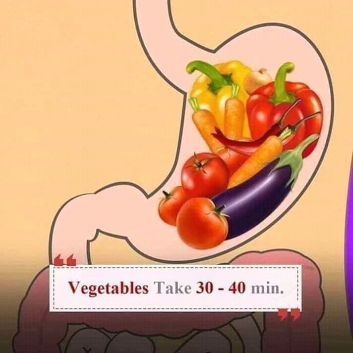 3. Sayur mayur membutuhkan waktu untuk pencernaan sekitar 30 - 40 menit