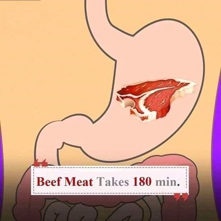 7. Daging sapi membutuhkan waktu pencernaan sekitar 180 menit.