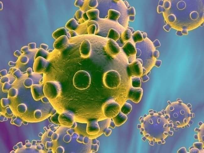 Apa Itu Virus Corona ? Inilah Fakta Tentang Virus Corona Yang Lagi Viral