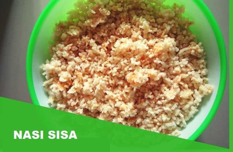 Manfaat Nasi Sisa