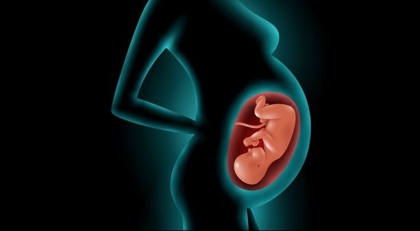 Apa Itu Psikologi Masa Janin?