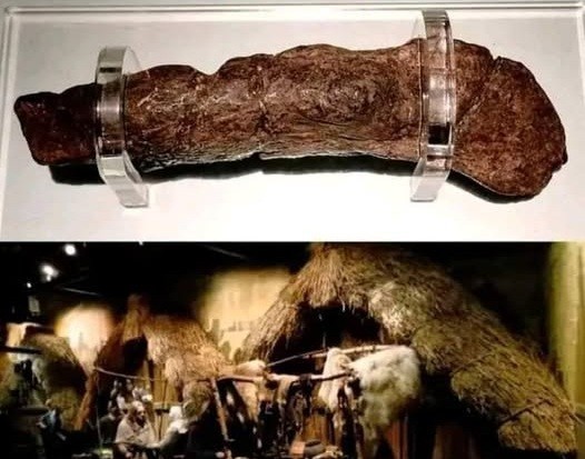 Inilah Wujud Kotoran Paling Mahal di Dunia