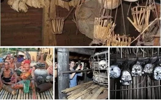 Sejarah Mengayau Berburu Kepala Di Kalimantan Oleh Suku Dayak